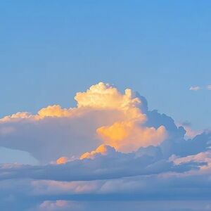 Meet your Posher, Snee